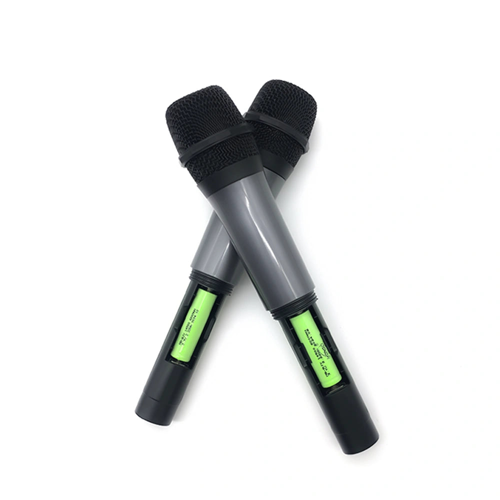 Vizuals SingStation Pro Battery Powered Karaoke Machine