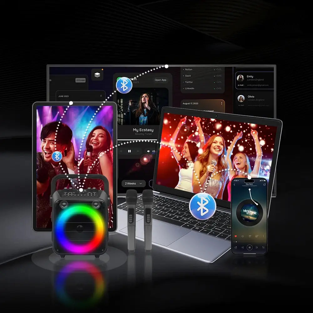 Vizuals SingStation Pro Battery Powered Karaoke Machine